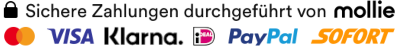 Mollie Zahlungen Klarna Paypal Visa