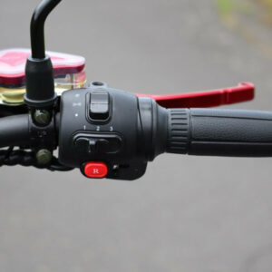 elektro-scooter-e-scooter-chopper-fat-bike.coco-bike-matt-schwarz-p01-20