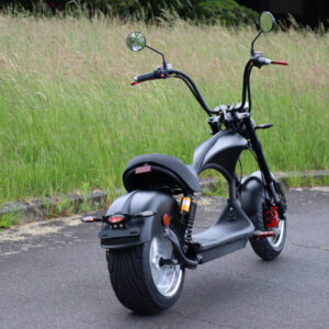 elektro-scooter-e-scooter-chopper-fat-bike.coco-bike-matt-schwarz-p01-22