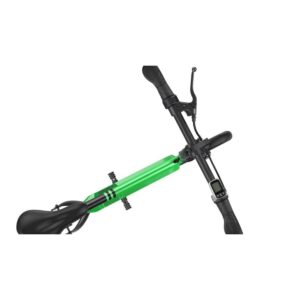 Elektro Scooter, E-Scooter, mit sitz, 36V, 20km/h mit LG Akkus, Bremsen, Tacho klappbar Grün 350W Brushless Motor - 6.0A Akku - 12Zoll Reifen -B06-6